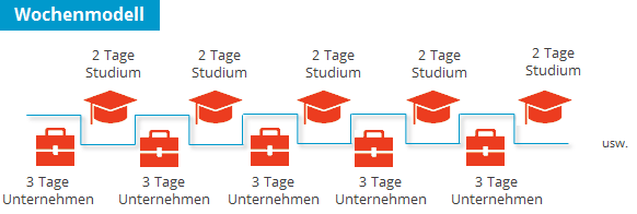 Wochenmodell des dualen Logistik Studiums