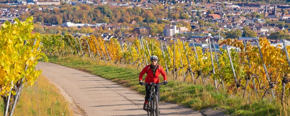 Duales Studium BWL + Logistik in Baden-Württemberg