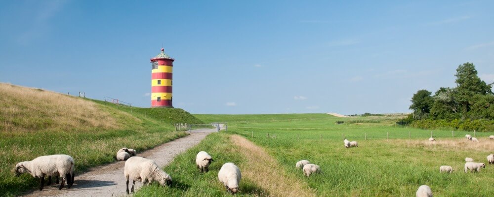 Wirtschaftsingenieurwesen + Logistik in Niedersachsen